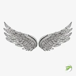 Wings Freebie Vector Design