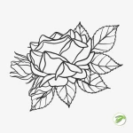 Outline Flower 5 Vector Design