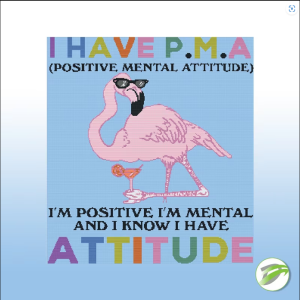 PMA (Positive Mental Attitude) Cross Stitch